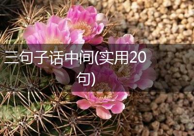 三句子话中间(实用20句)
