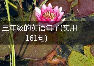 三年级的英语句子(实用161句)