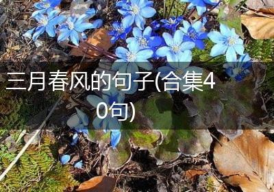 三月春风的句子(合集40句)