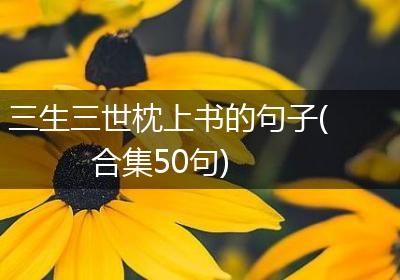 三生三世枕上书的句子(合集50句)
