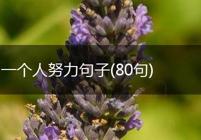 一个人努力句子(80句)