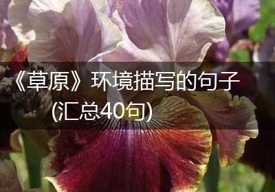 《草原》环境描写的句子(汇总40句)