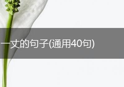 一丈的句子(通用40句)