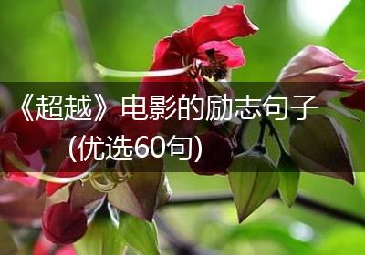 《超越》电影的励志句子(优选60句)
