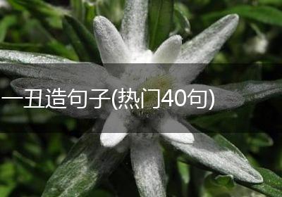 一丑造句子(热门40句)