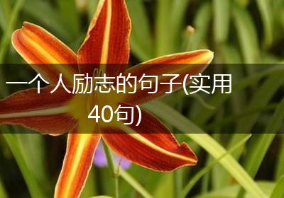 一个人励志的句子(实用40句)