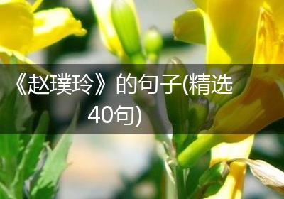 《赵璞玲》的句子(精选40句)