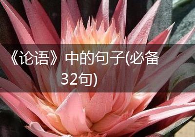 《论语》中的句子(必备32句)