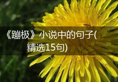 《蹦极》小说中的句子(精选15句)
