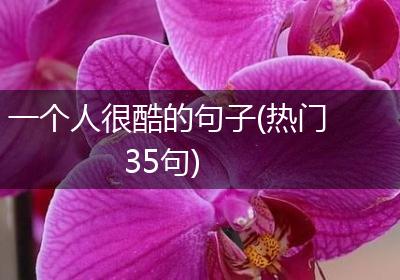 一个人很酷的句子(热门35句)