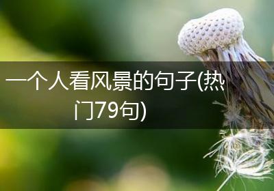 一个人看风景的句子(热门79句)
