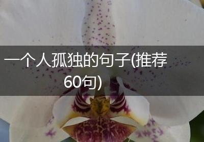 一个人孤独的句子(推荐60句)