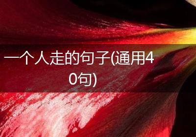 一个人走的句子(通用40句)