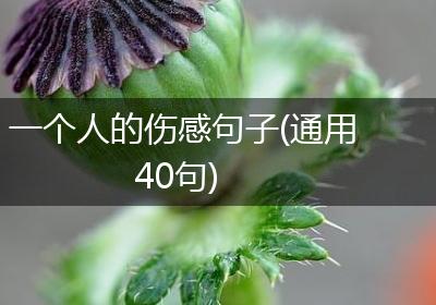 一个人的伤感句子(通用40句)