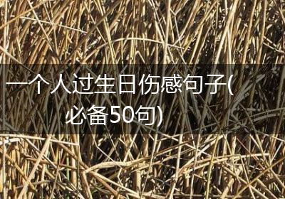 一个人过生日伤感句子(必备50句)