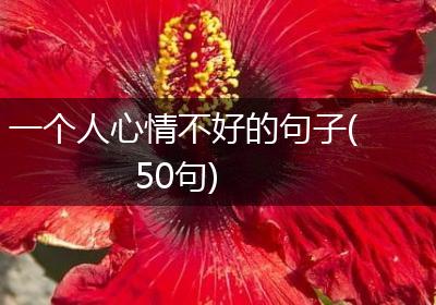 一个人心情不好的句子(50句)