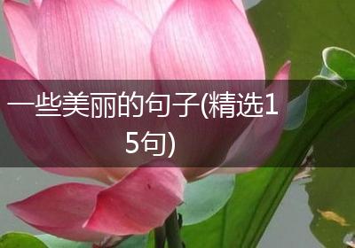 一些美丽的句子(精选15句)