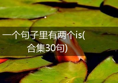 一个句子里有两个is(合集30句)