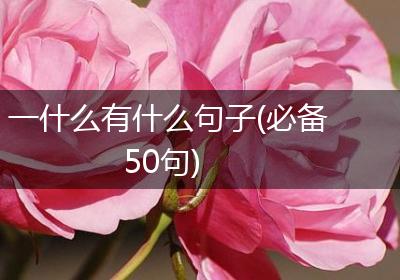 一什么有什么句子(必备50句)