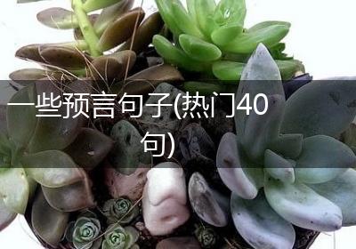 一些预言句子(热门40句)