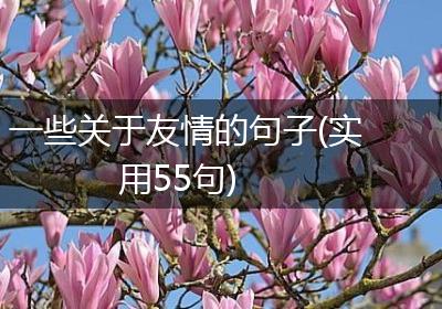 一些关于友情的句子(实用55句)