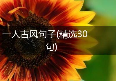 一人古风句子(精选30句)
