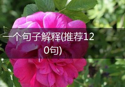 一个句子解释(推荐120句)