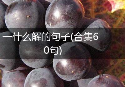 一什么解的句子(合集60句)