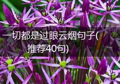 一切都是过眼云烟句子(推荐40句)