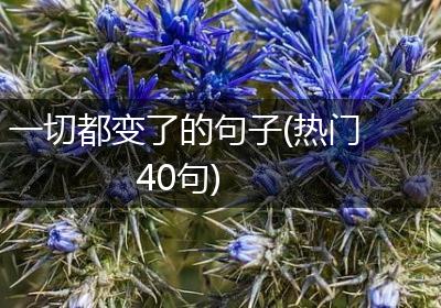一切都变了的句子(热门40句)