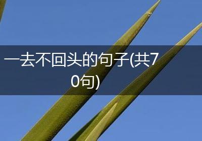 一去不回头的句子(共70句)
