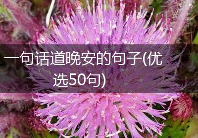 一句话道晚安的句子(优选50句)