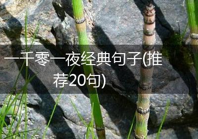 一千零一夜经典句子(推荐20句)