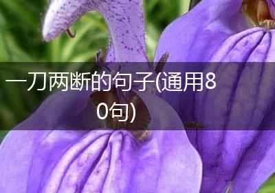 一刀两断的句子(通用80句)