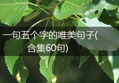 一句五个字的唯美句子(合集60句)