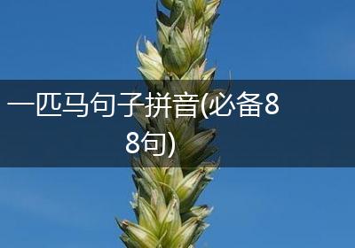 一匹马句子拼音(必备88句)