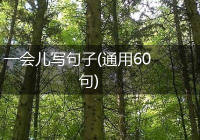 一会儿写句子(通用60句)