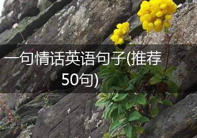 一句情话英语句子(推荐50句)