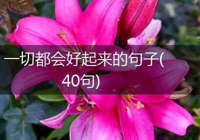 一切都会好起来的句子(40句)