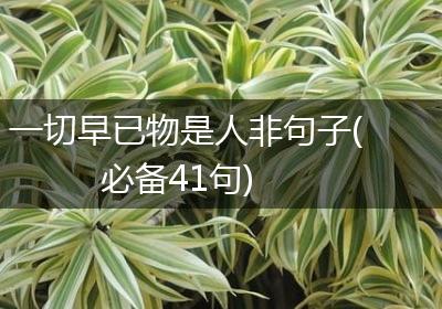 一切早已物是人非句子(必备41句)