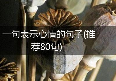 一句表示心情的句子(推荐80句)