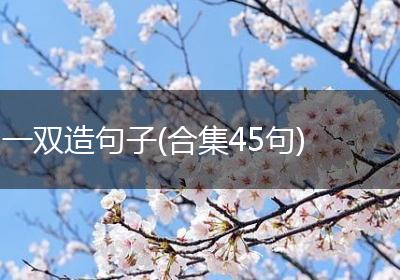 一双造句子(合集45句)
