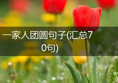 一家人团圆句子(汇总70句)