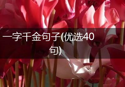 一字千金句子(优选40句)