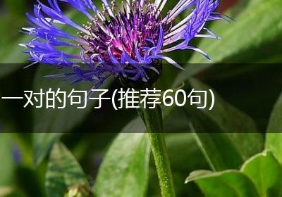 一对的句子(推荐60句)