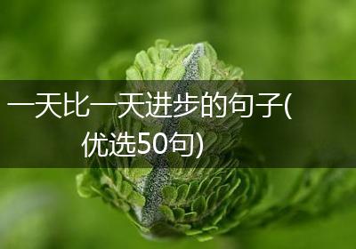 一天比一天进步的句子(优选50句)