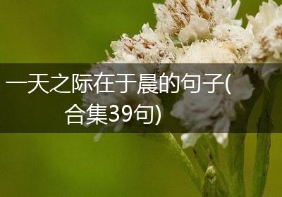 一天之际在于晨的句子(合集39句)