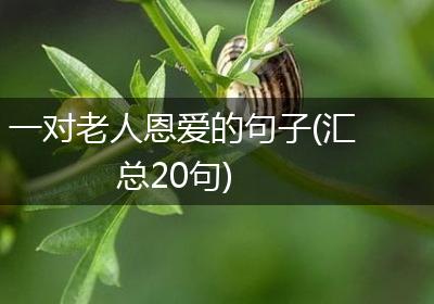 一对老人恩爱的句子(汇总20句)