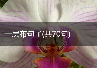 一层布句子(共70句)