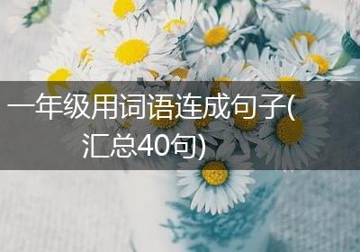 一年级用词语连成句子(汇总40句)